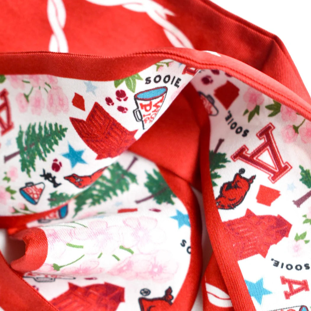Arkansas Razorbacks Skinny Scarf