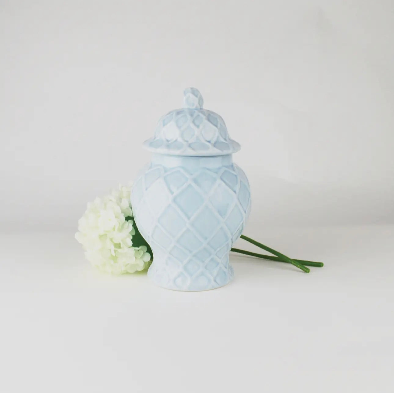 Light Blue Textured Ginger Jar-Small