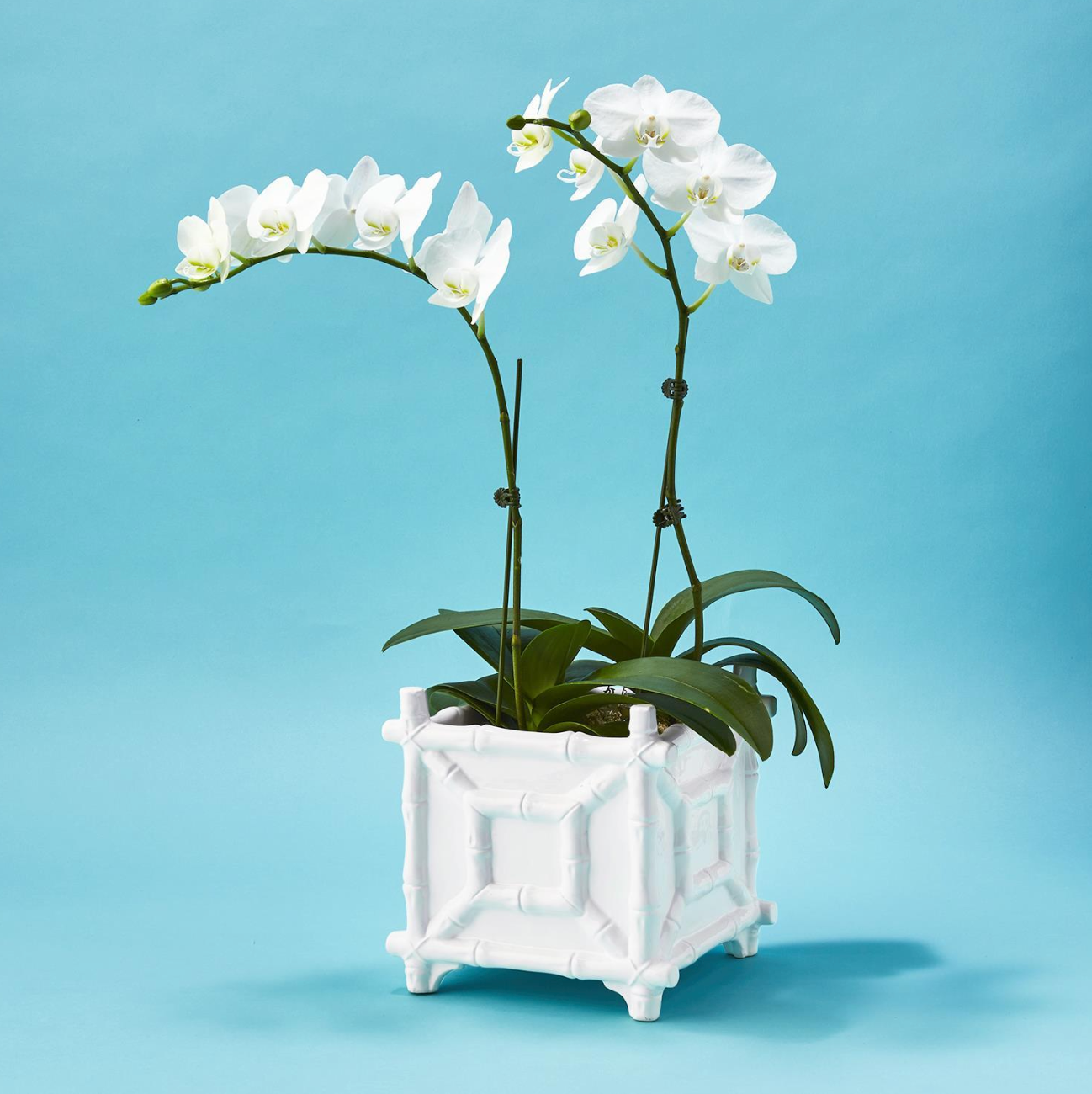 Hampton Faux Bamboo Cachepot - Ceramic