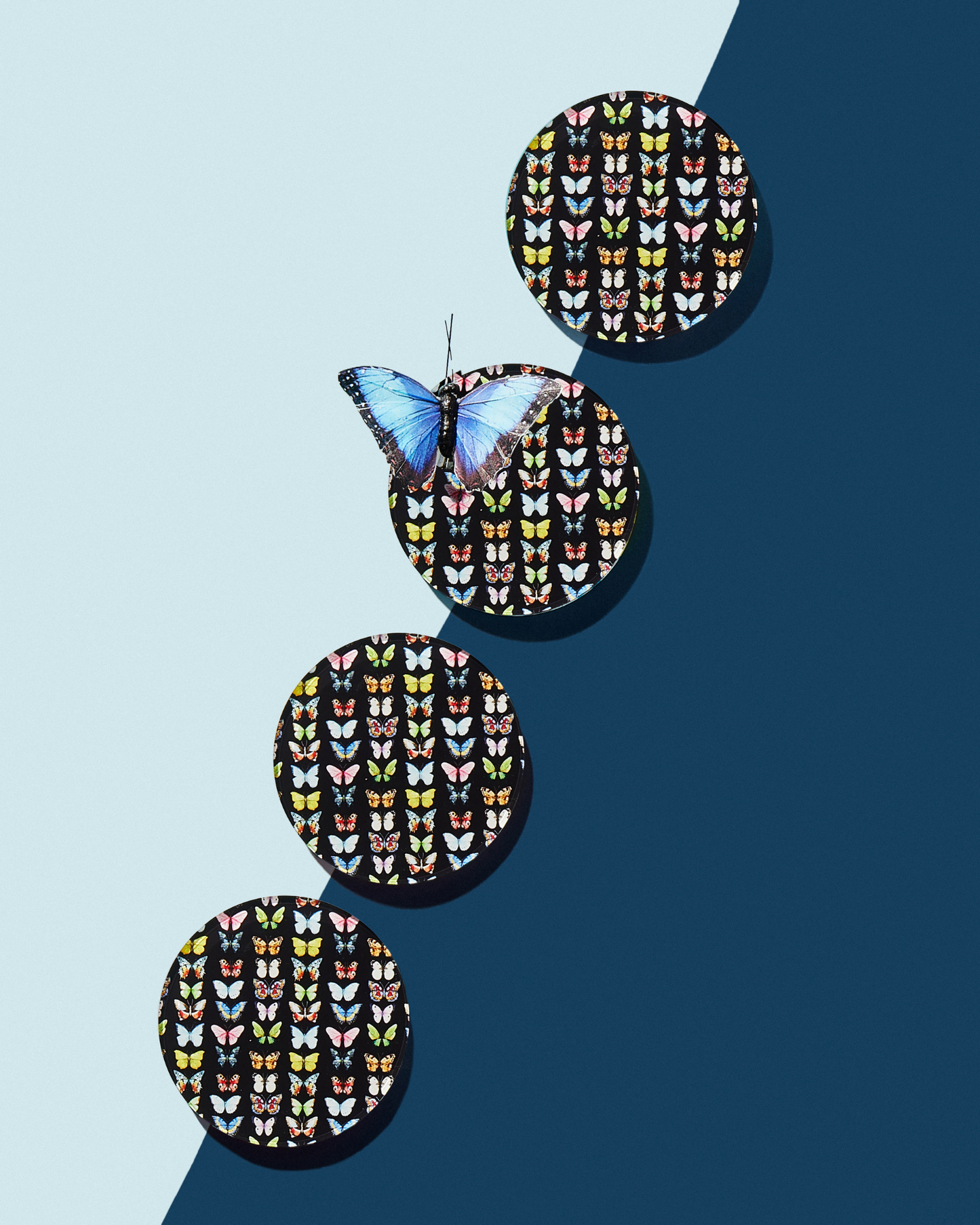 Monarch Coaster - 4 pack