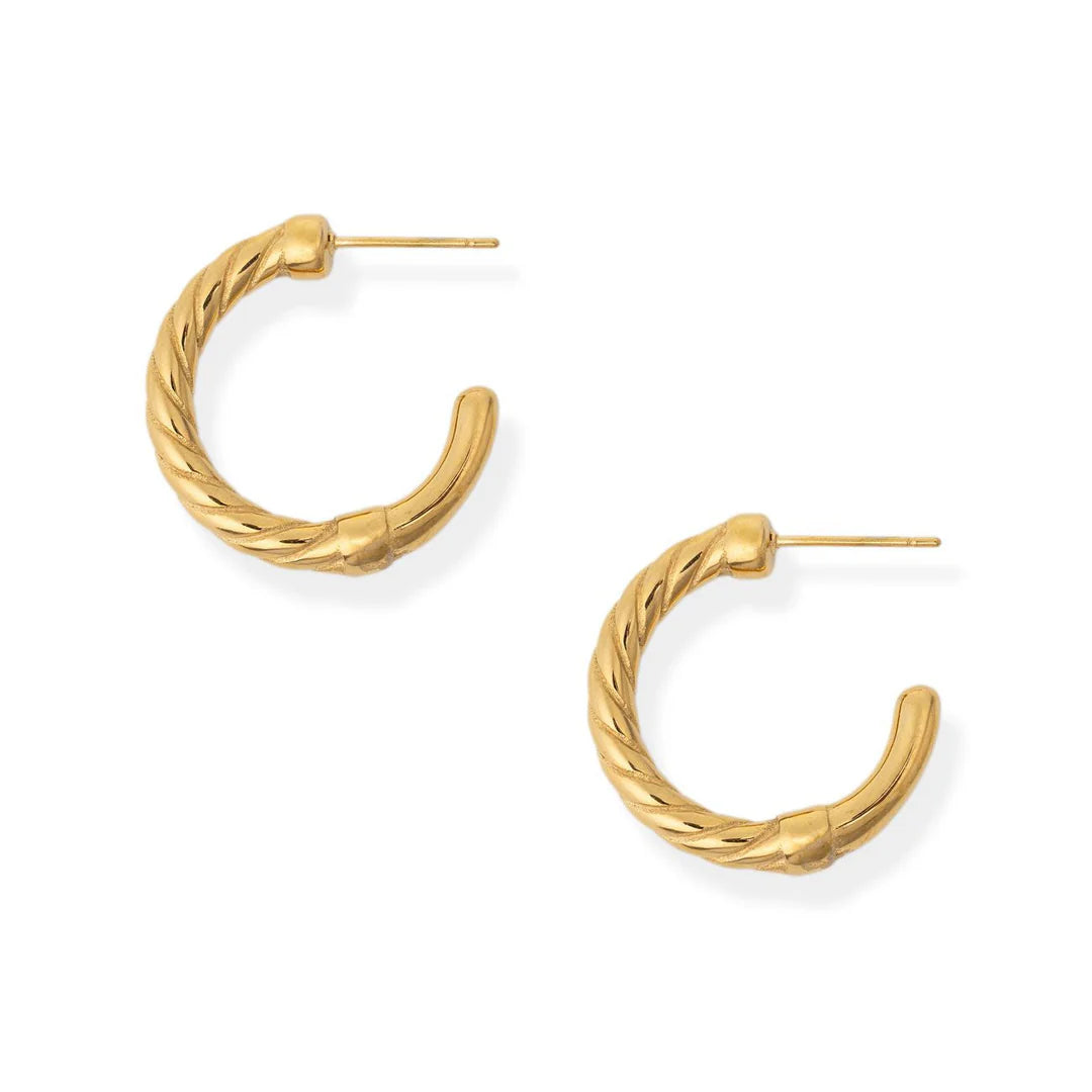 Sam Hoops