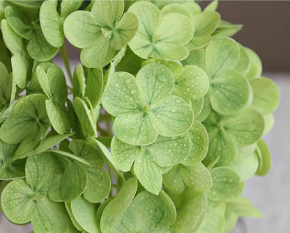 Real Touch Green Hydrangea Stem-12.5in