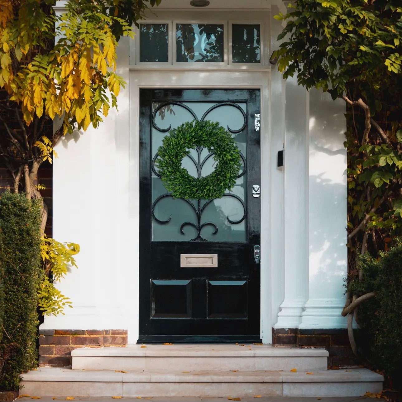 21’ Preserved Boxwood Wreath