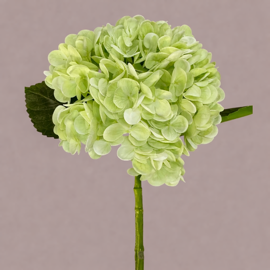 Real Touch Light Green Hydrangea Stem-12.5in