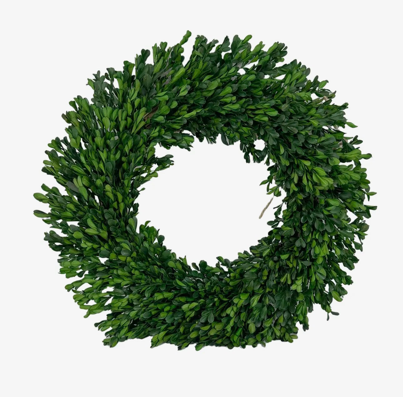 21’ Preserved Boxwood Wreath
