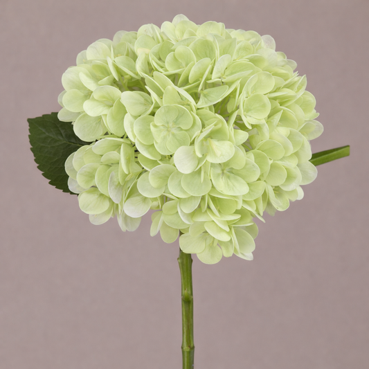 Real Touch Ivory Hydrangea Stem-12.5in